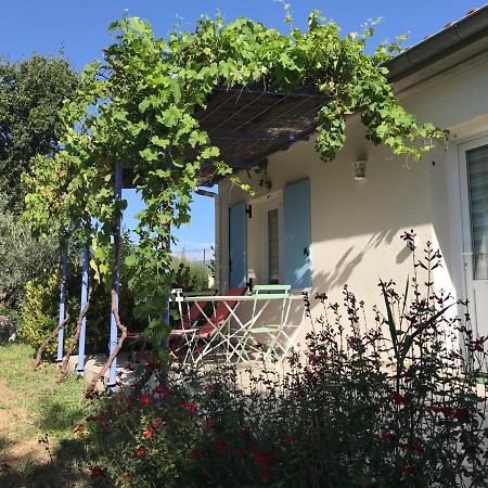 Maisonnette El Puy Molitg-les-Bains Extérieur photo